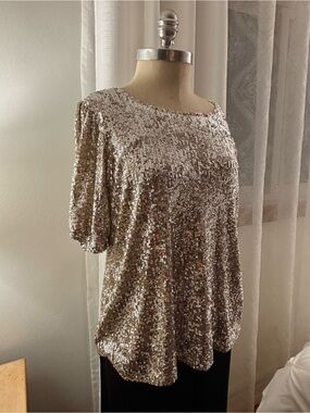 Cable & Gauge Champagne-Tone Sequin Scoop Neck Top, L, NWOT